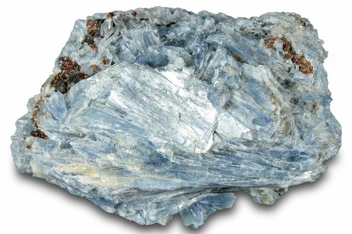 Vibrant Blue Kyanite Crystals and Staurolite In Quartz - Brazil #322587
